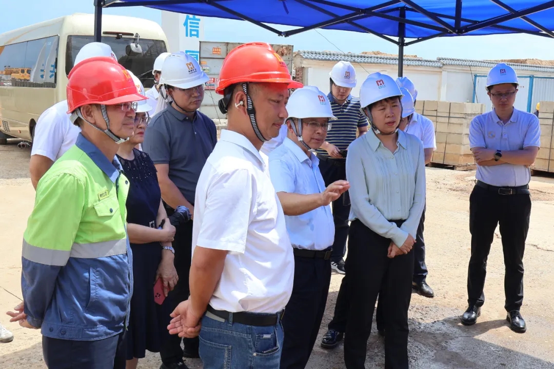 1720169006550363.jpg 海南(nan)省副省長(zhang)尹丽波(bo)赴星之(zhi)海2万吨氢氧化锂項(xiang)目(mu)現(xian)場(chang)调研1.jpg